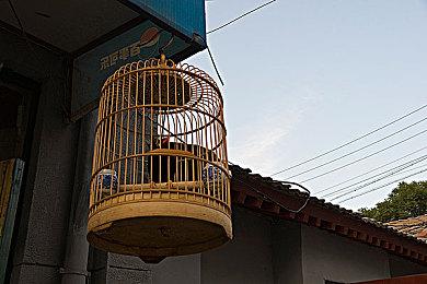 按照MTC评分 《宇宙机器人》将是TGA最大赢家